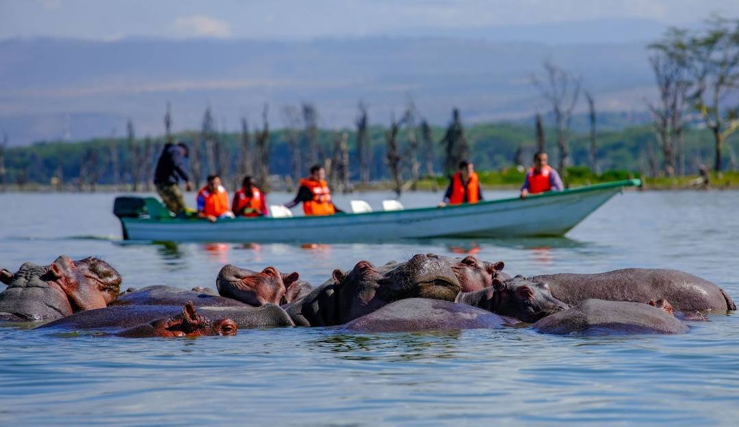 Naivasha Lake & Crescent Island