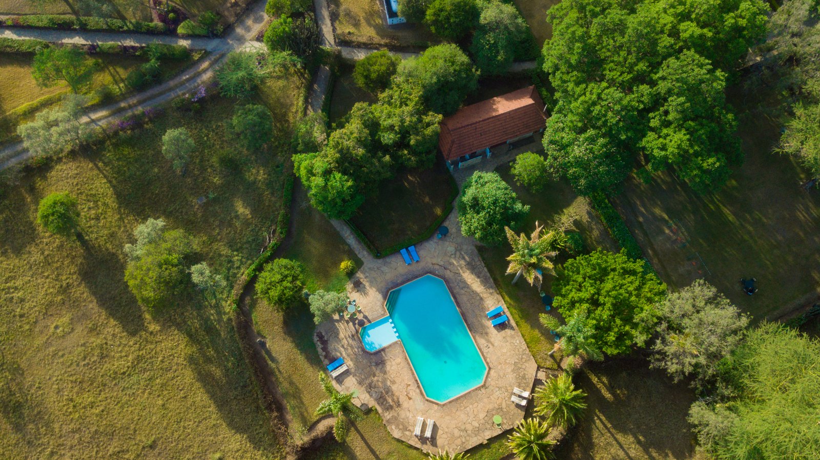 Honeymoon @  Lake Elementaita