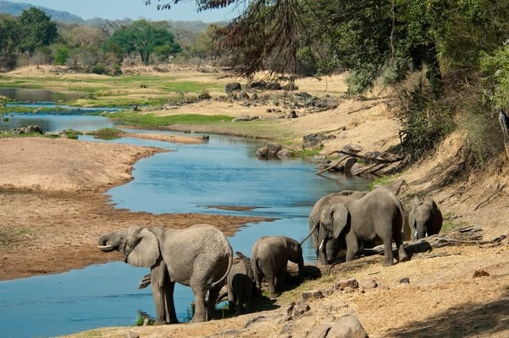 Tanzania Northern Circuit Classic Safari