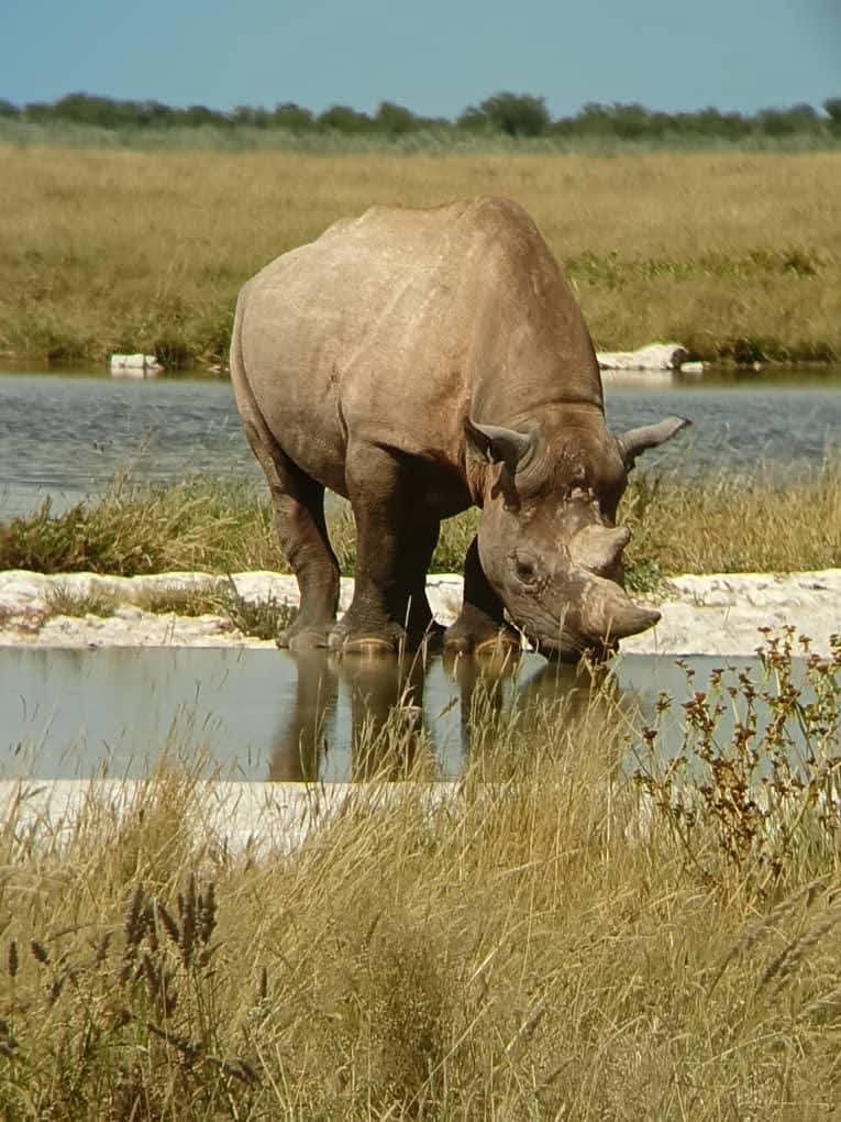 Tanzania Luxury Safari